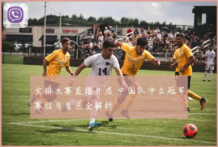 女排决赛直播开启 中国队冲击冠军赛程与看点全解析